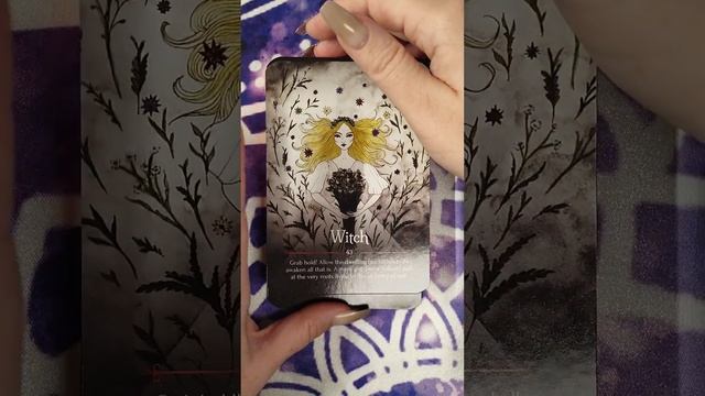 Flip Through of Seasons of the Witch Samhain Oracle смотреть онлайн