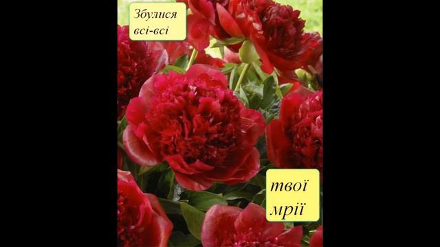 привітання смотреть онлайн