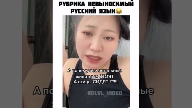 Сложный русский язык смотреть онлайн