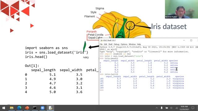 Python Programming TT-44-INT #13 смотреть онлайн