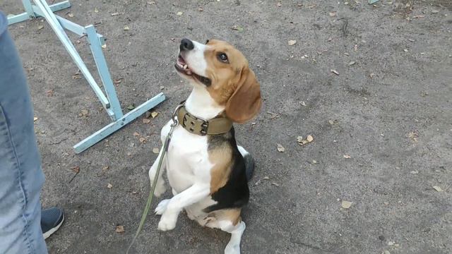 О нас. смотреть онлайн