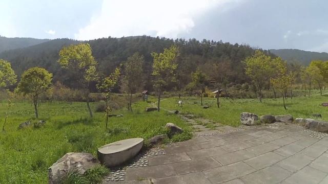 VLOG ОБЕЗЬЯНА НА НАШЕЙ МАШИНЕ!!! 2 04 2016 смотреть онлайн