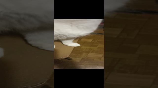 Вечерний эфир, зефир смотреть онлайн