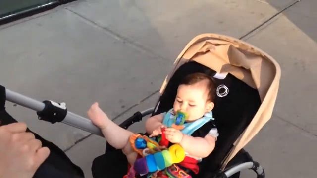 Lucca e seu estilo no stroller смотреть онлайн