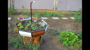 Как сделать цветники и клумбы на даче в зонте. Старый зонт в оформлении клумб