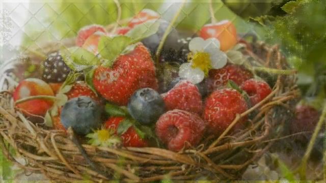 Лето удивительное время года смотреть онлайн