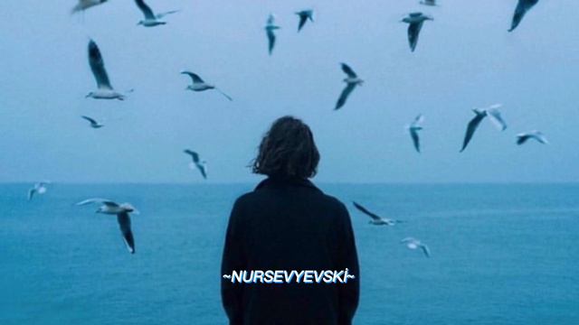 NECHAEV-Каждый см твоей кожи текст песни и перевод на Турецком(Türkçe Çeviri)#nechaev #rusçaşarkıla смотреть онлайн