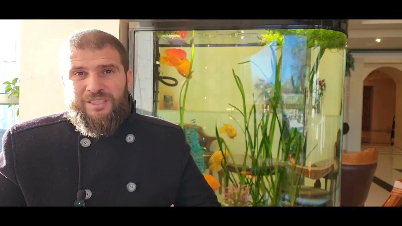 Видео-Циркуляр о каноничности Крестного Хода с Государем Николаем II! К просмотру духовенству РПЦ МП смотреть онлайн