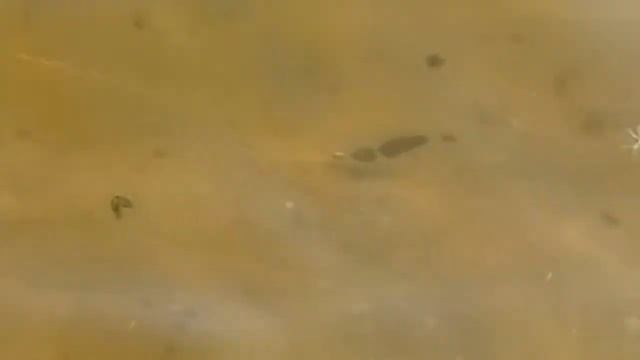 "Запрещенный" поролон или поролоновый конструктор смотреть онлайн