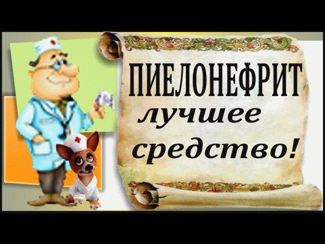 Пиелонефрит: лечение хронического пиелонефрита