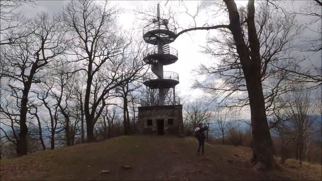 В поисках Pulsatilla (Чехия) смотреть онлайн