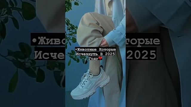 Животные которые исчезнут в 2025 году#shorts ?? смотреть онлайн
