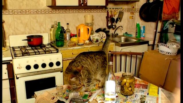 Городок 2005 большой стал смотреть онлайн