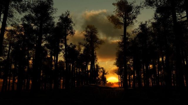 Звуки вечернего леса (Для сна и релаксации) | (23 Минуты) смотреть онлайн