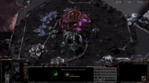 ★ [ ГАЙД ] по ЗЕРГАМ #2 - учимся атаковать | Старкрафт 2 на ZERGTV ★