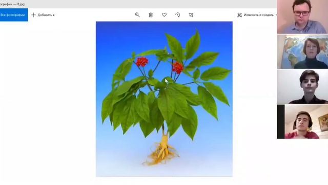 История+география: Поярков и Хабаров смотреть онлайн