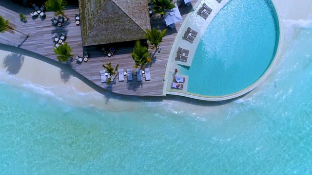 Free 4k live wallpaper of a beachside | For your PC or laptop or any screen смотреть онлайн
