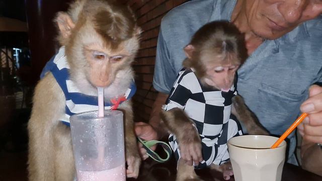 Grandpa took care of Asher to eat a super cute strawberry 🍓🍓 strawberry smoothie смотреть онлайн
