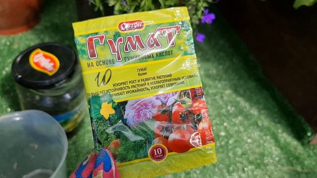 ХОТИТЕ собирать УРОЖАЙ ВЁДРАМИ? ПРОСТО полейте ОГУРЦЫ ЭТИМ! ПОПРУТ ДАЖЕ СЛАБЫЕ! смотреть онлайн
