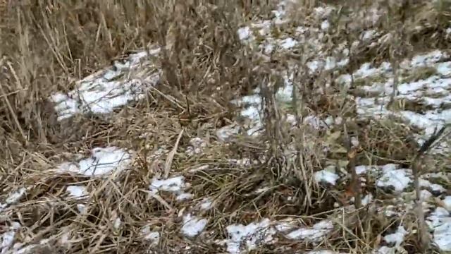 27 ноября Филиппов день. что категорически нельзя делать, приметы. смотреть онлайн