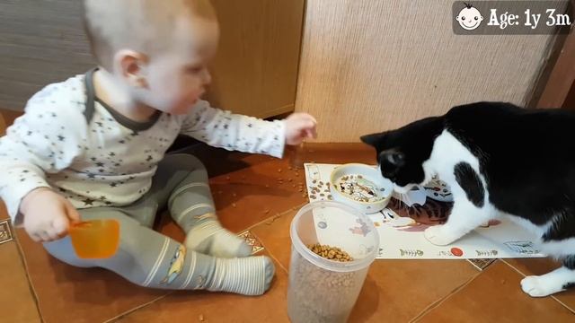 Brother, you won’t be hungry! смотреть онлайн