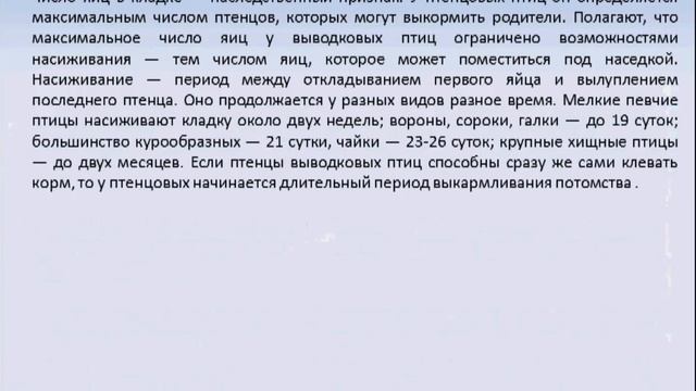 Годовой жизненный цикл птиц. Биология 7 класс смотреть онлайн