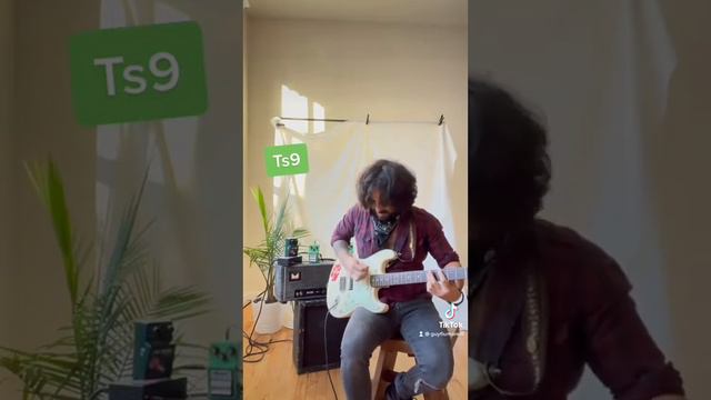 ibanez tube screamer - ts9 vs ts808 vs ts808 hw смотреть онлайн