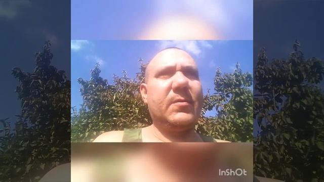 Дрожжевание корма. смотреть онлайн