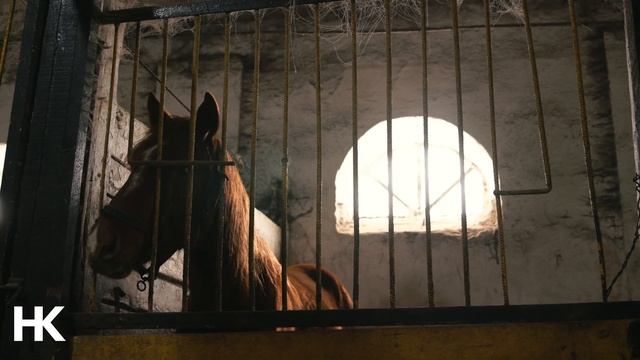 Костанаец Максим Хруль четвертый год занимается кокпаром смотреть онлайн