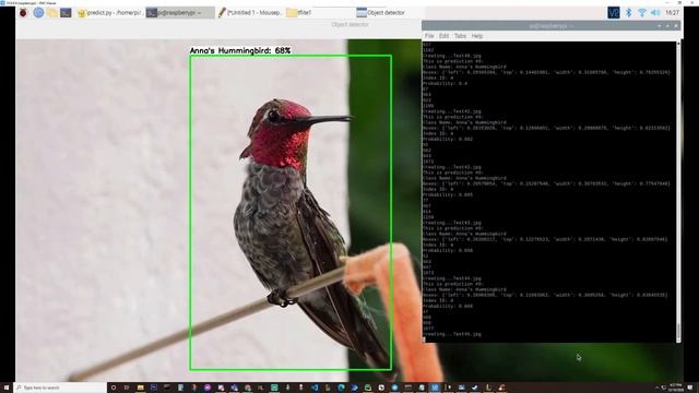TensorFlow Lite Object Detection - Hummingbird Demo смотреть онлайн