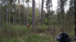 УДИВИТЕЛЬНЫЕ ГРИБЫ СМАРЧКИ