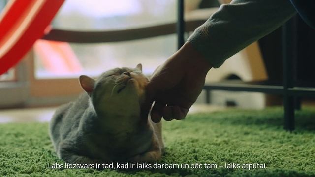 SEB Technology life смотреть онлайн