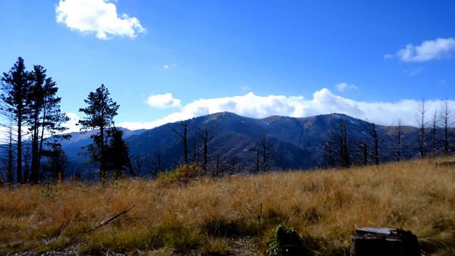 Барракуда/Обзор. смотреть онлайн