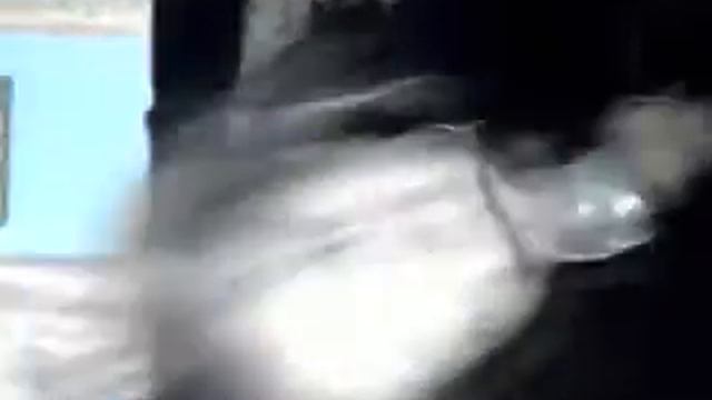 Всякое бывало! смотреть онлайн