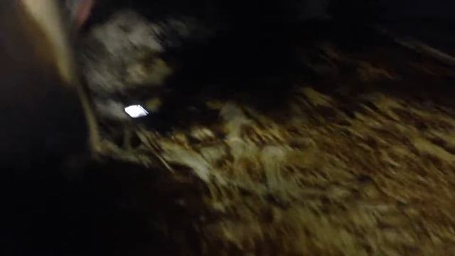 За что я люблю жигули :) смотреть онлайн