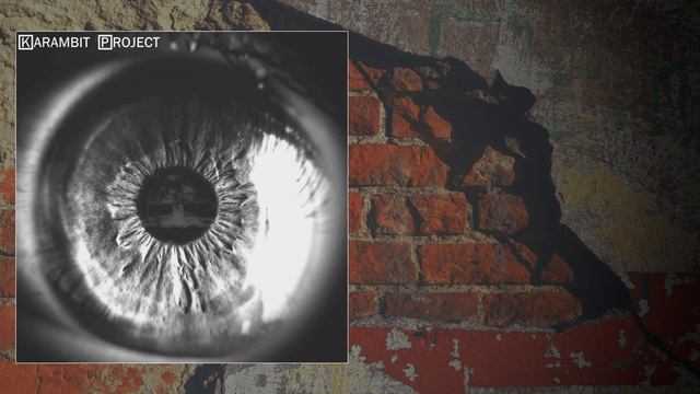 Karambit Project - 2 Принцип