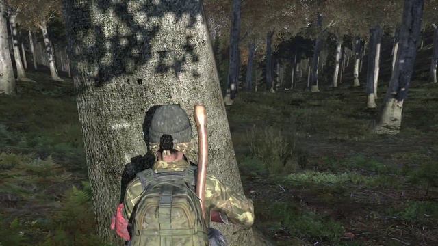 DayZ SA - .58 Exp - Battle in the Woods 3v3 смотреть онлайн