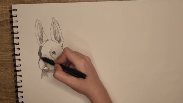 HOW TO DRAW FRENCH BULLDOG!!! КАК НАРИСОВАТЬ ФРАНЦУЗКОГО БУЛЬДОГА!!! смотреть онлайн