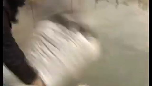 В Липецком зоопарке птиц переселяли из теплых помещений на улицу смотреть онлайн