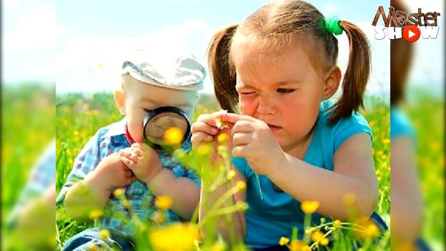 5 ХУДШИХ ШКОЛ В МИРЕ смотреть онлайн