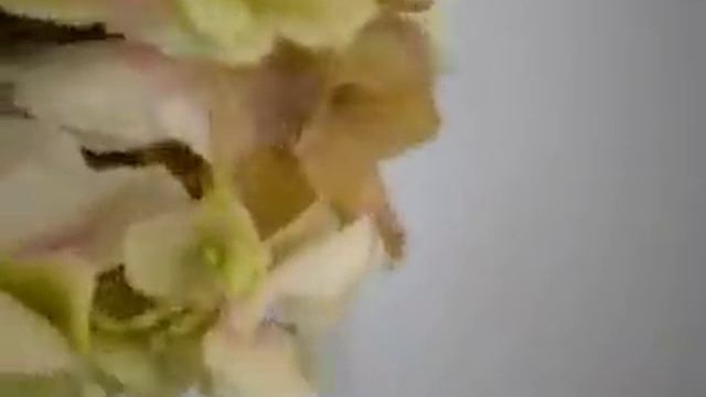 Fiore artificiale ortensia смотреть онлайн