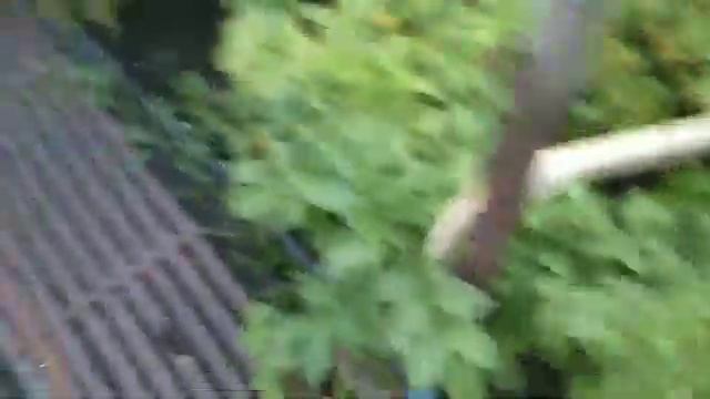 Как собрать картошку на даче. смотреть онлайн