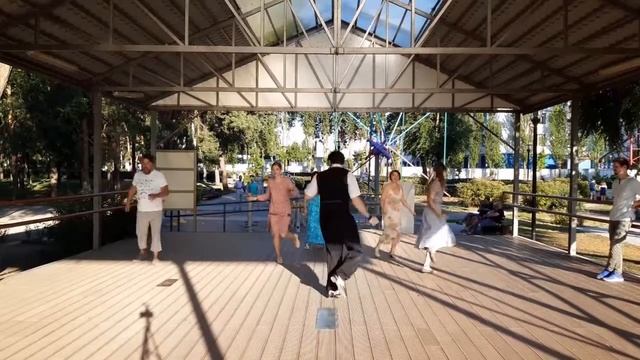 Charleston + Black Bottom 1920s Jazz Dances