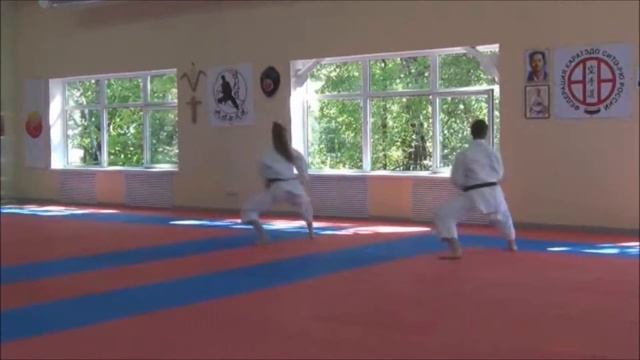 Открытие додзё Гармаева В.Р. г.Лобня. 2016 год. (kata Annan Ryuei Ryu karate) смотреть онлайн