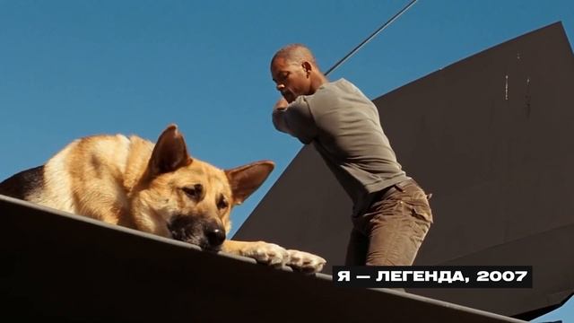 ТОП 21 ЛУЧШИХ ФИЛЬМОВ ПРО СОБАК #новинкикино смотреть онлайн