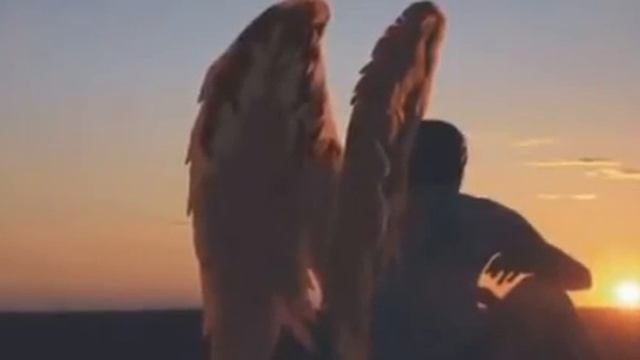 Сборник N44 от Мариши Подари мне крылья (для нее) смотреть онлайн