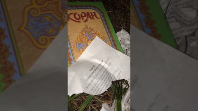 Свинья жрет коран в курбан байрам смотреть онлайн