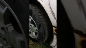 Honda Pilot неожиданное под капотом!!!