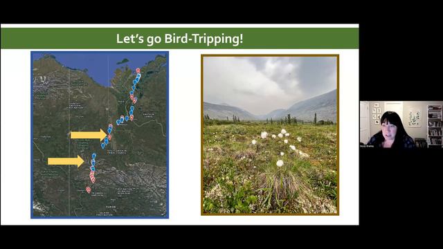Bird-tripping: Tales from the Road to Tuktoyaktuk, presented by Devon Bradley, Ph.D. смотреть онлайн