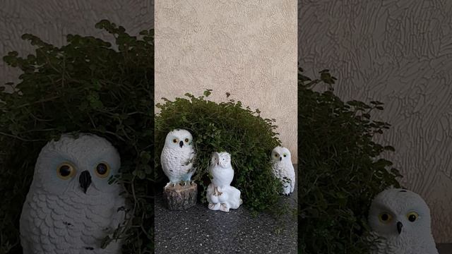 ЗАГОВОР ОТ КАШЛЯ для деток смотреть онлайн